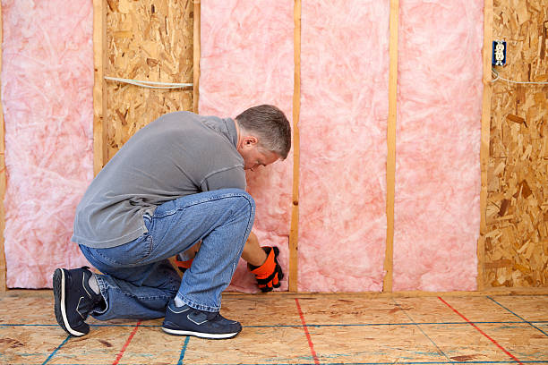 Best Insulation Maintenance and Repair in Maple Bluff, WI