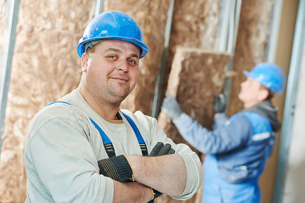 Best Insulation Installation Services in Maple Bluff, WI